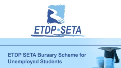 ETDP SETA Bursary 2025