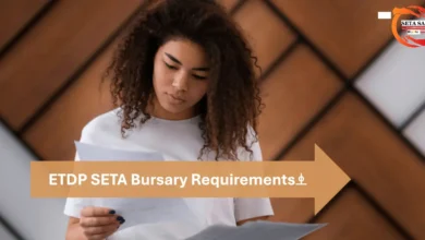 ETDP SETA Bursary Requirements