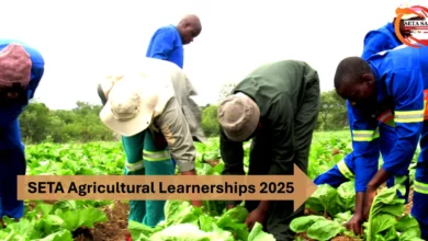 SETA Agricultural Learnerships 2025